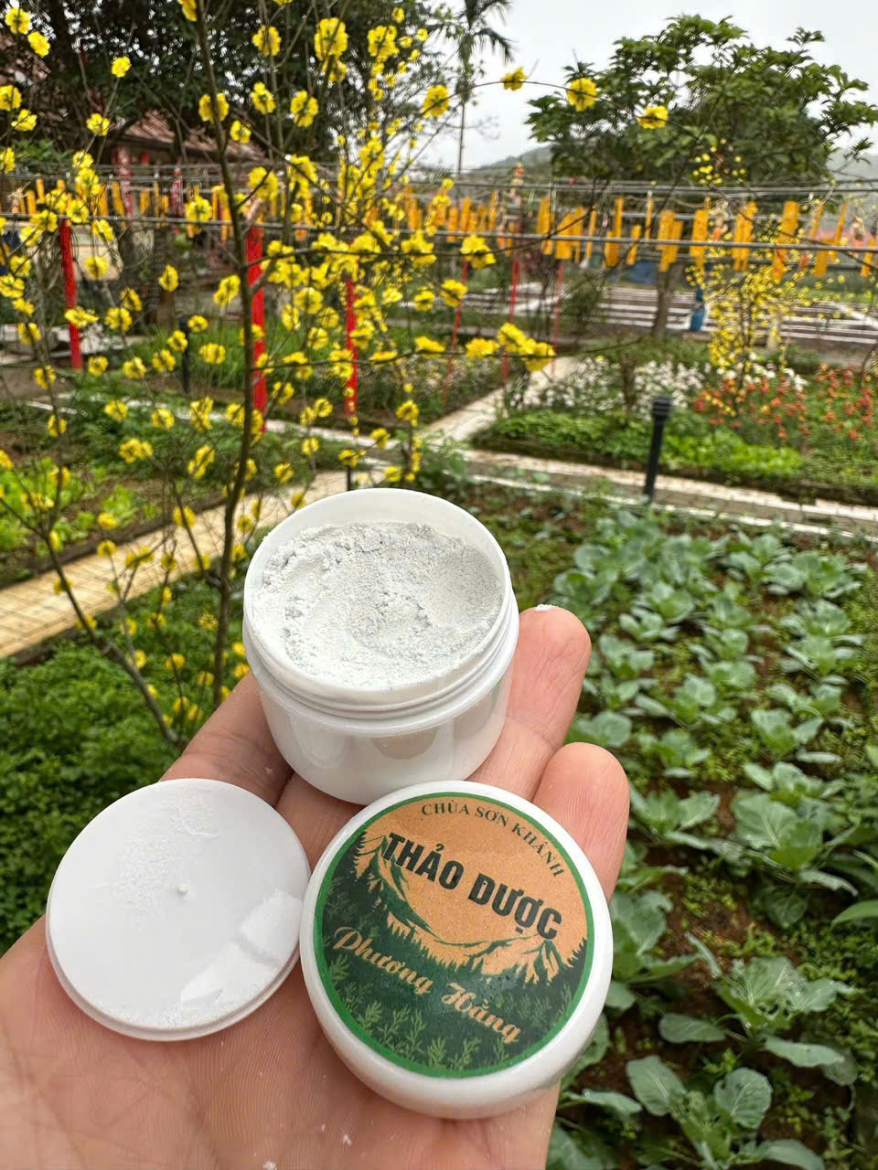 Hũ thảo dược mở nắp thấy dạng bột mịn