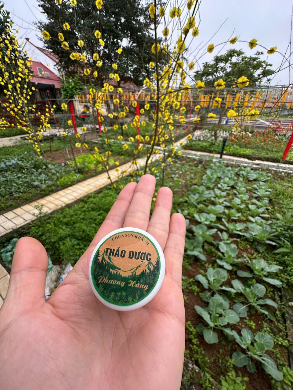 Hũ thảo dược trên tay giữa vườn